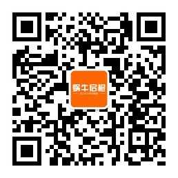 西安网站优化