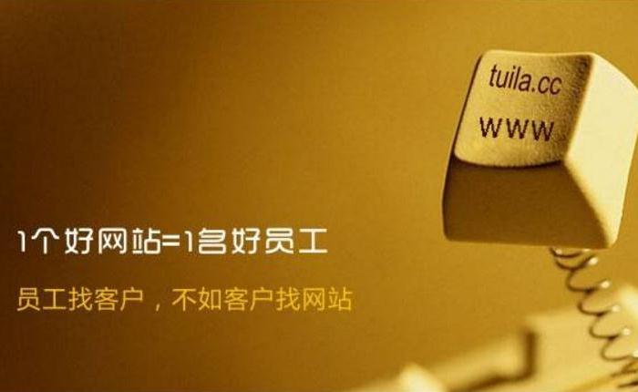 新疆专业网站建设,微信开发,网站优化